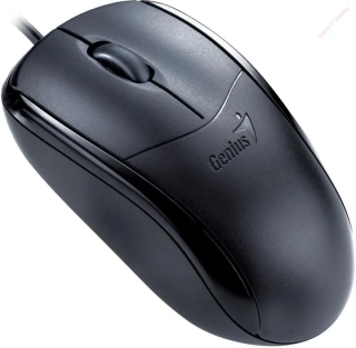 Genius NetScroll 100X, USB, černá, 1200 DPI